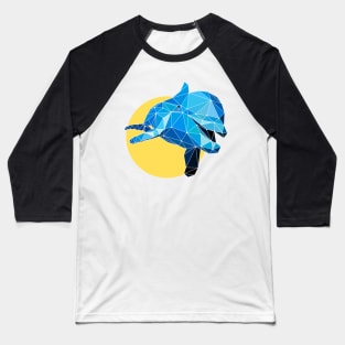 Poly Dolphin Baseball T-Shirt